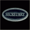 Secretary Title Pin