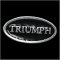 Triumph Title Pin