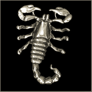 Scorpion Pin - Click Image to Close