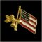 Guardian Angel w/ Flag Pin