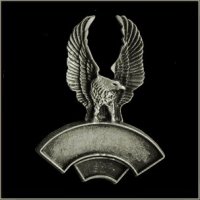 Double Line Upturned Eagle Event Pin