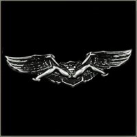 Spread Eagle Biker Pin