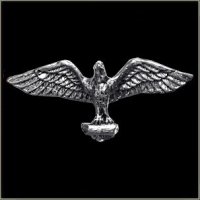 Eagle Biker Pin