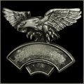 Double Line 3-D Hunting Eagle Event Pin