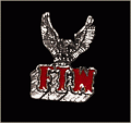 FTW Eagle Pin