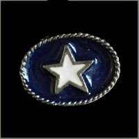 Texas Star Pin