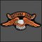 Daytona 2009 Eagle Patch Daytona 2009 Eagle Patch