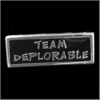 Team Deplorable Biker Pin