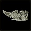 V Twin Eagle Wing Pin