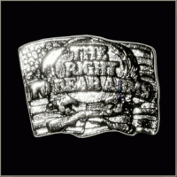 Right To Bear Arms Pin