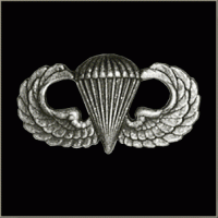 Jump Wings Pin