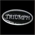 Triumph Title Pin